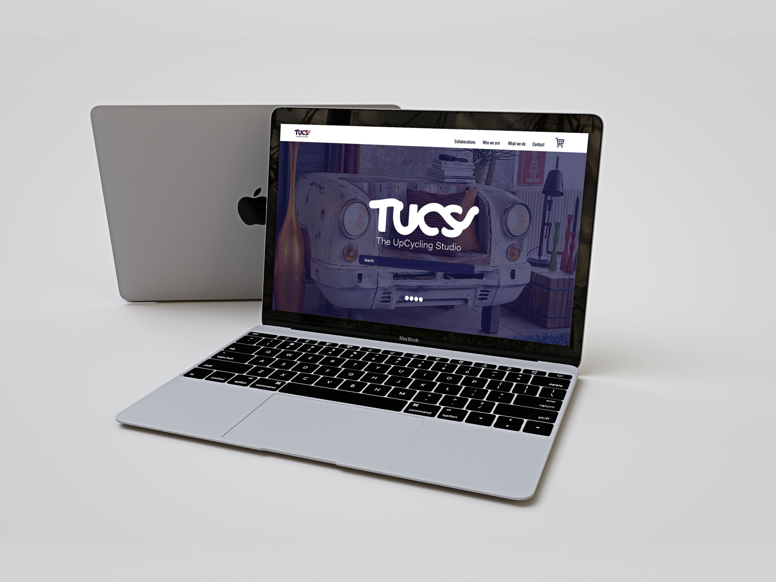Website Mockup 1